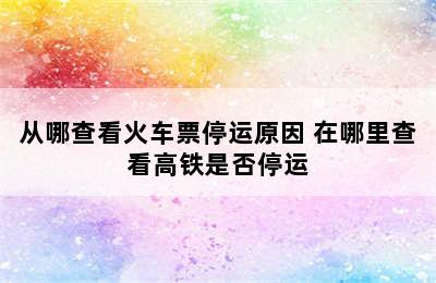 从哪查看火车票停运原因 在哪里查看高铁是否停运